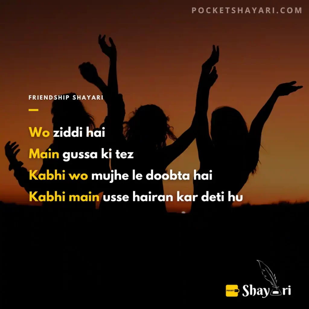Funny Friendship shayari in hindi